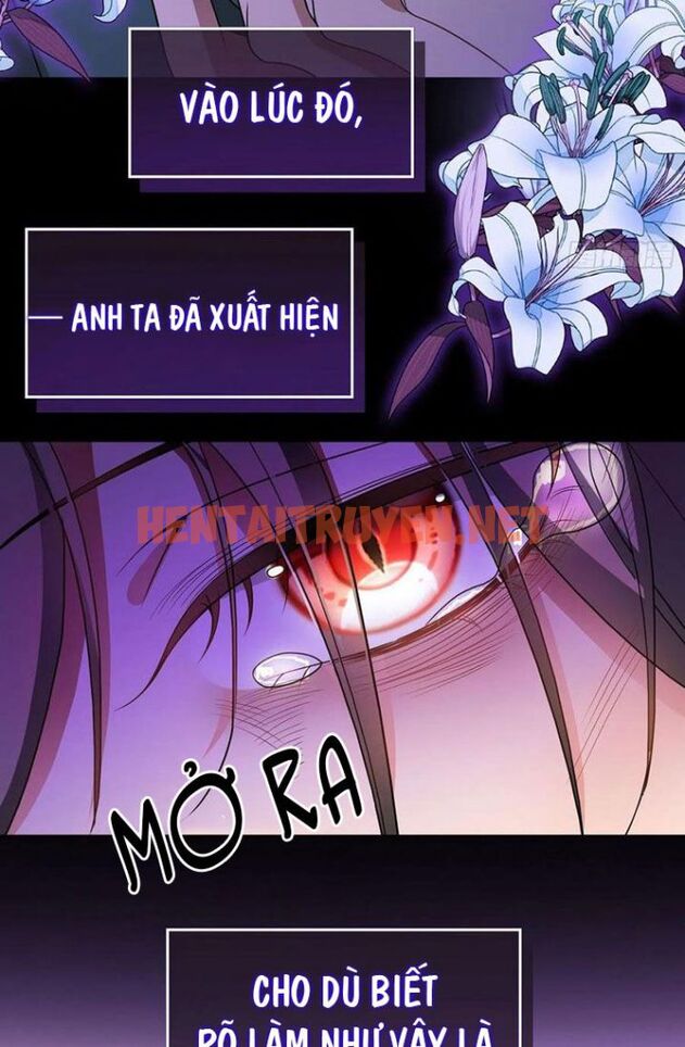 Xem ảnh Sắp Bị Ăn Thịt Rồi! - Chap 82 - img_012_1650153834 - TruyenVN.APP