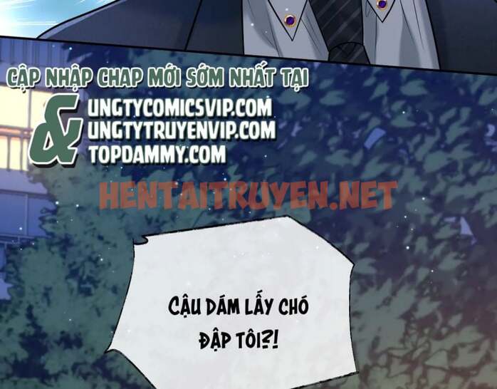 Xem ảnh Sau Khi Ly Hôn Ảnh Đế Ngày Ngày Nhặt Rác - Chap 7 - img_009_1695745707 - HentaiTruyen.net