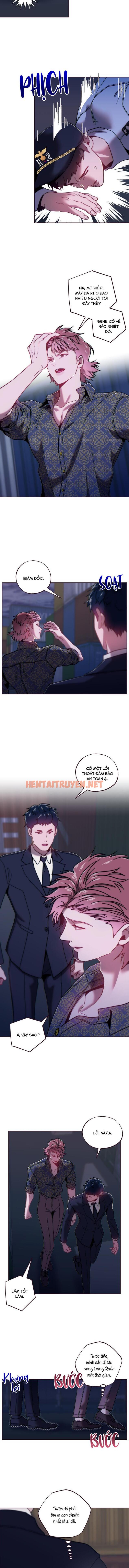 Xem ảnh Sụp Đổ - Chap 48 - img_005_1701794829 - HentaiTruyenVN.net