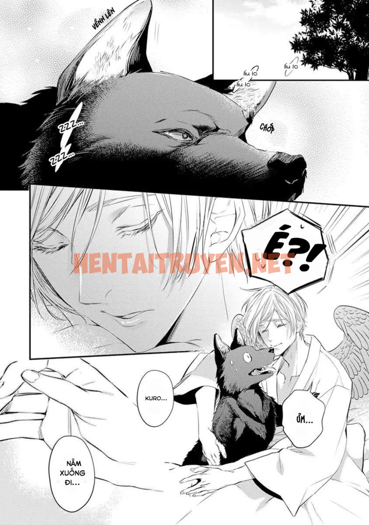 Xem ảnh Tengu Datte Koi Wo Suru! - Chap 2 - img_004_1631459660 - HentaiTruyenVN.net