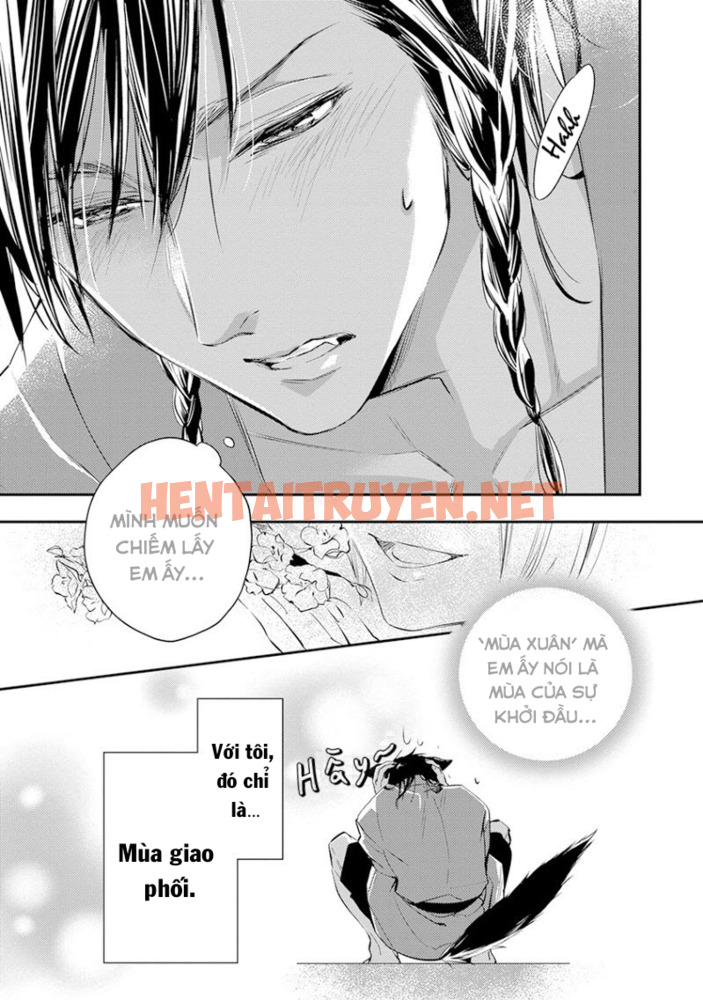 Xem ảnh Tengu Datte Koi Wo Suru! - Chap 4 - img_006_1631951020 - HentaiTruyen.net