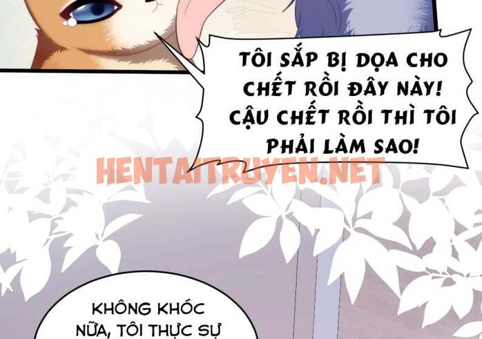 Xem ảnh Tiểu Dã Miêu Của Học Bá Thật Trêu Người - Chap 35 - img_014_1657944259 - TruyenVN.APP