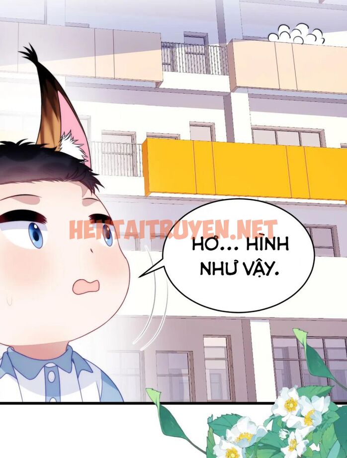 Xem ảnh Tiểu Dã Miêu Của Học Bá Thật Trêu Người - Chap 71 - img_009_1676088343 - TruyenVN.APP