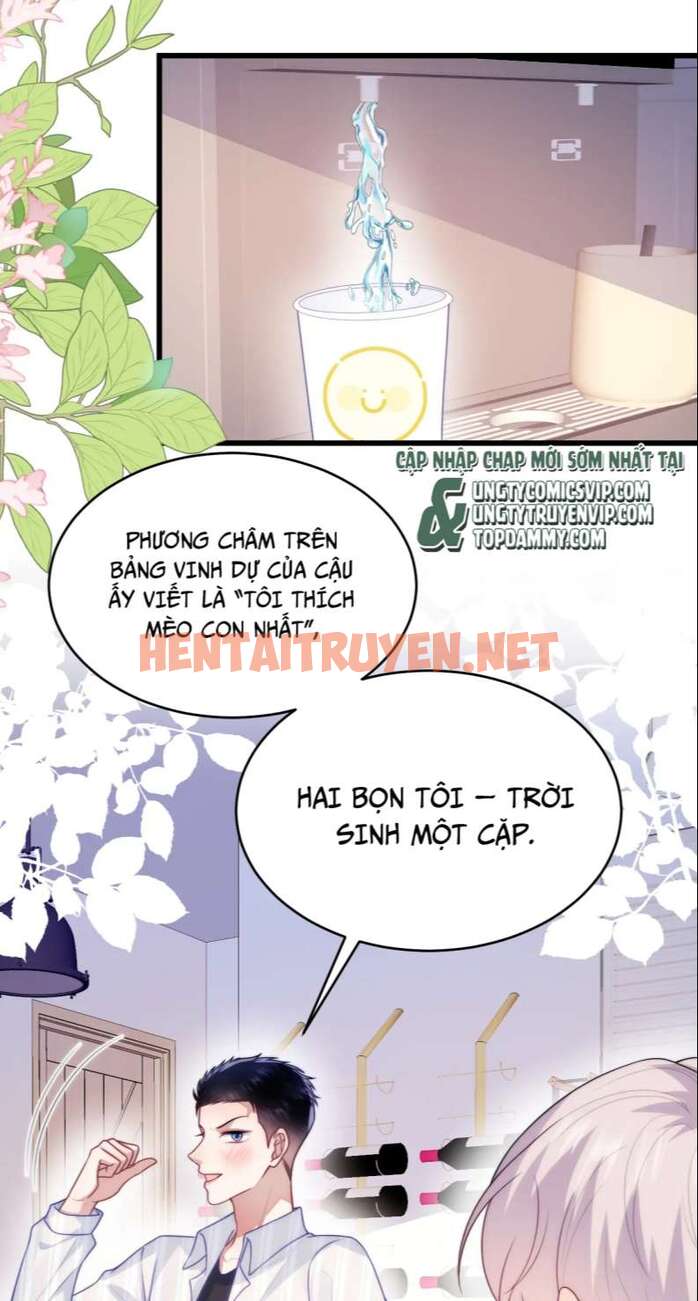 Xem ảnh Tiểu Dã Miêu Của Học Bá Thật Trêu Người - Chap 72 - img_010_1676092245 - TruyenVN.APP