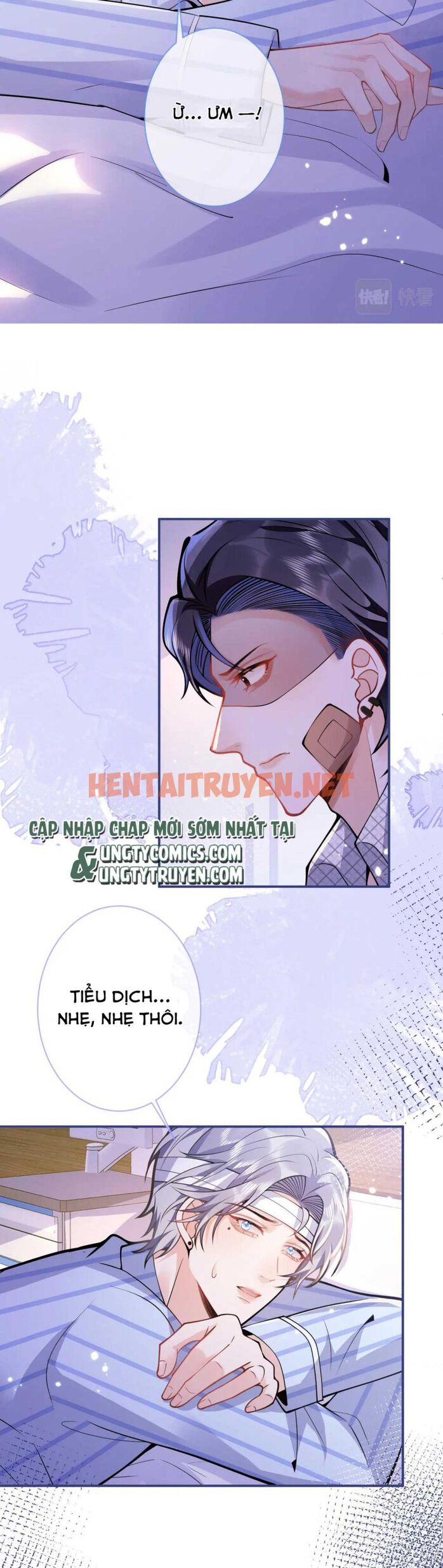 Xem ảnh Tiểu Lang Cẩu Của Ảnh Đế Gia - Chap 40 - img_010_1657462020 - TruyenVN.APP