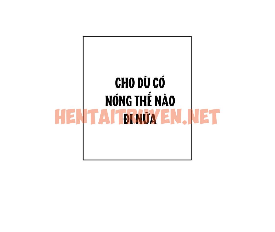 Xem ảnh Tình Đầu Của Chủ Quán Gỏi Cá Là Nhân Ngư - Chap 9 - img_047_1678124315 - HentaiTruyen.net