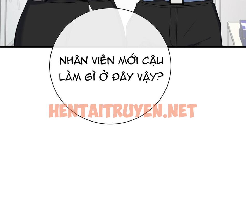 Xem ảnh Tình Thế Tiến Thoái Lưỡng Nan Của Sếp - Chap 8 - img_027_1677219263 - HentaiTruyen.net