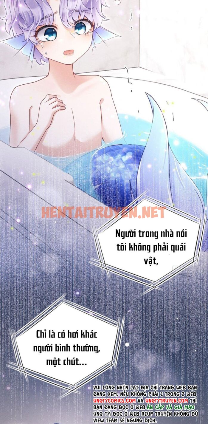 Xem ảnh Tôi Hoài Nghi Ảnh Đế Đang Theo Đuổi Tôi - Chap 28 - img_006_1651406813 - HentaiTruyen.net