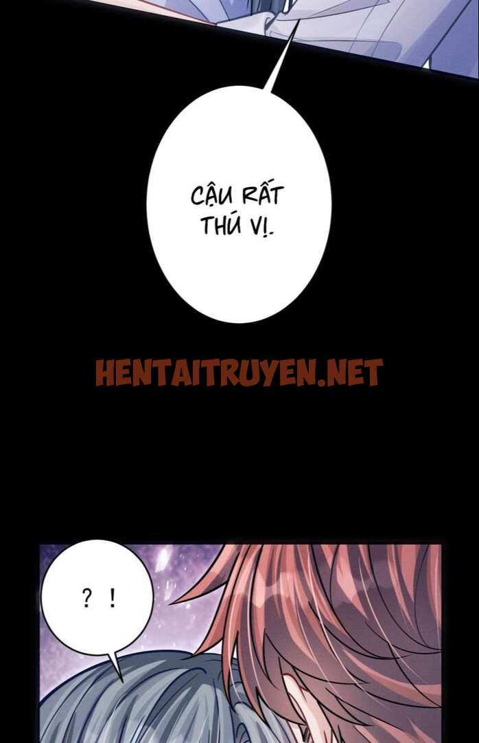 Xem ảnh Tôi Hoài Nghi Ảnh Đế Đang Theo Đuổi Tôi - Chap 76 - img_051_1673687117 - HentaiTruyenVN.net