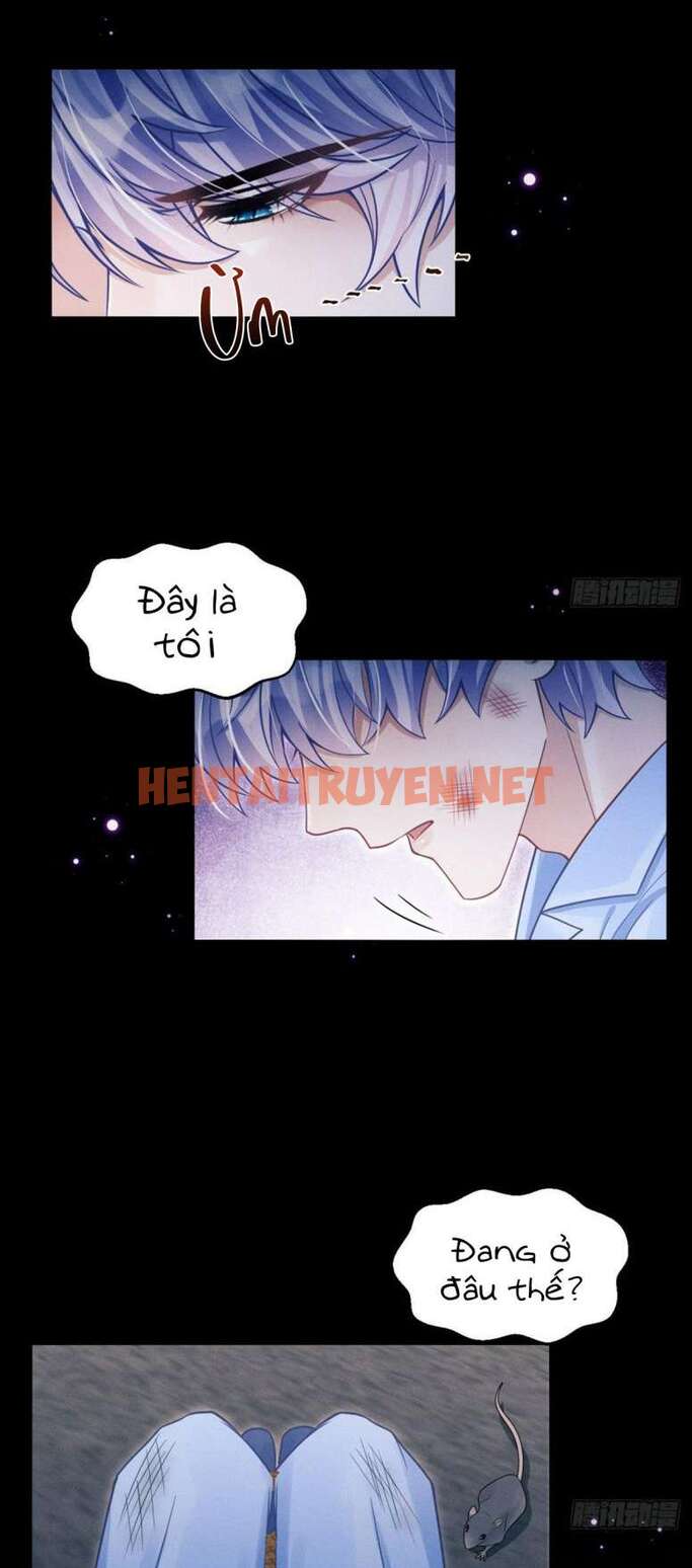 Xem ảnh Tôi Hoài Nghi Ảnh Đế Đang Theo Đuổi Tôi - Chap 83 - img_005_1677921677 - TruyenVN.APP