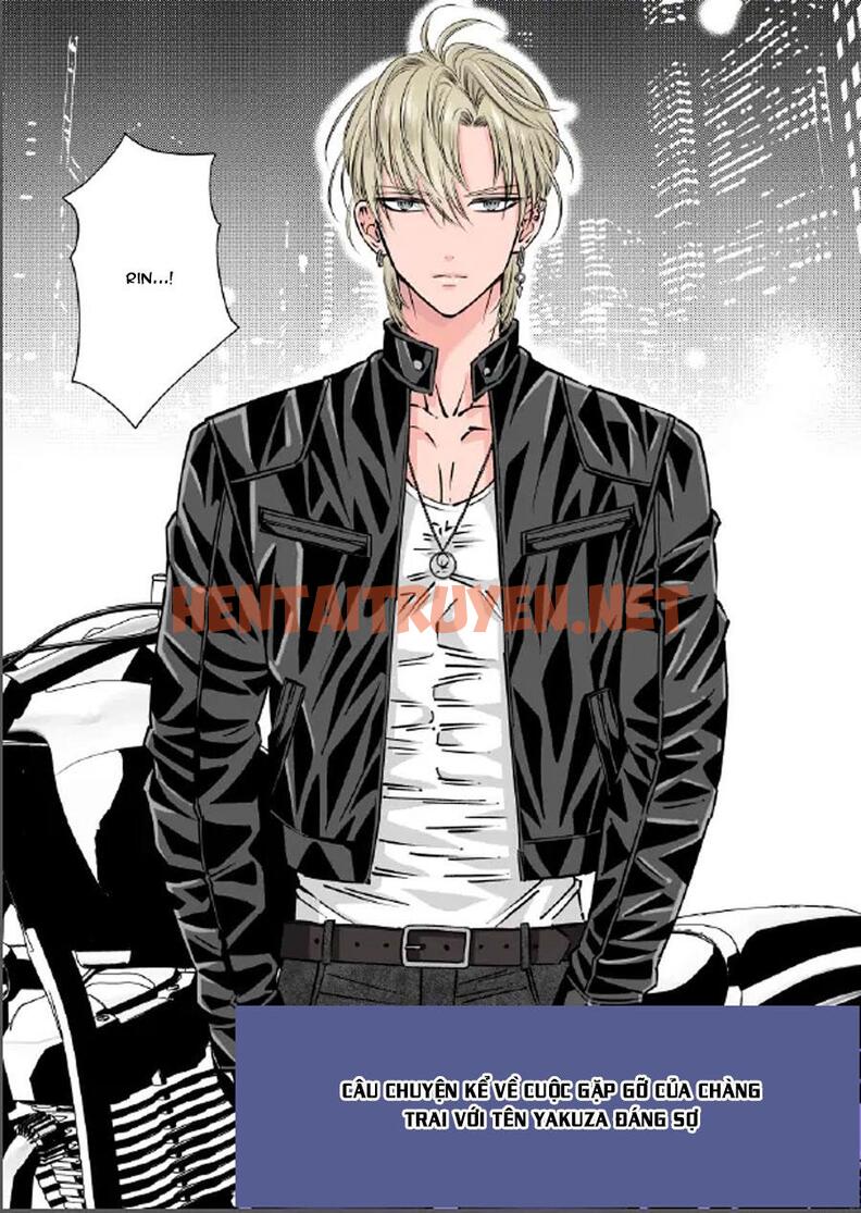 Xem ảnh Tổng Hợp Oneshot Nhà Guess - Chap 79 - img_003_1672328147 - HentaiTruyen.net