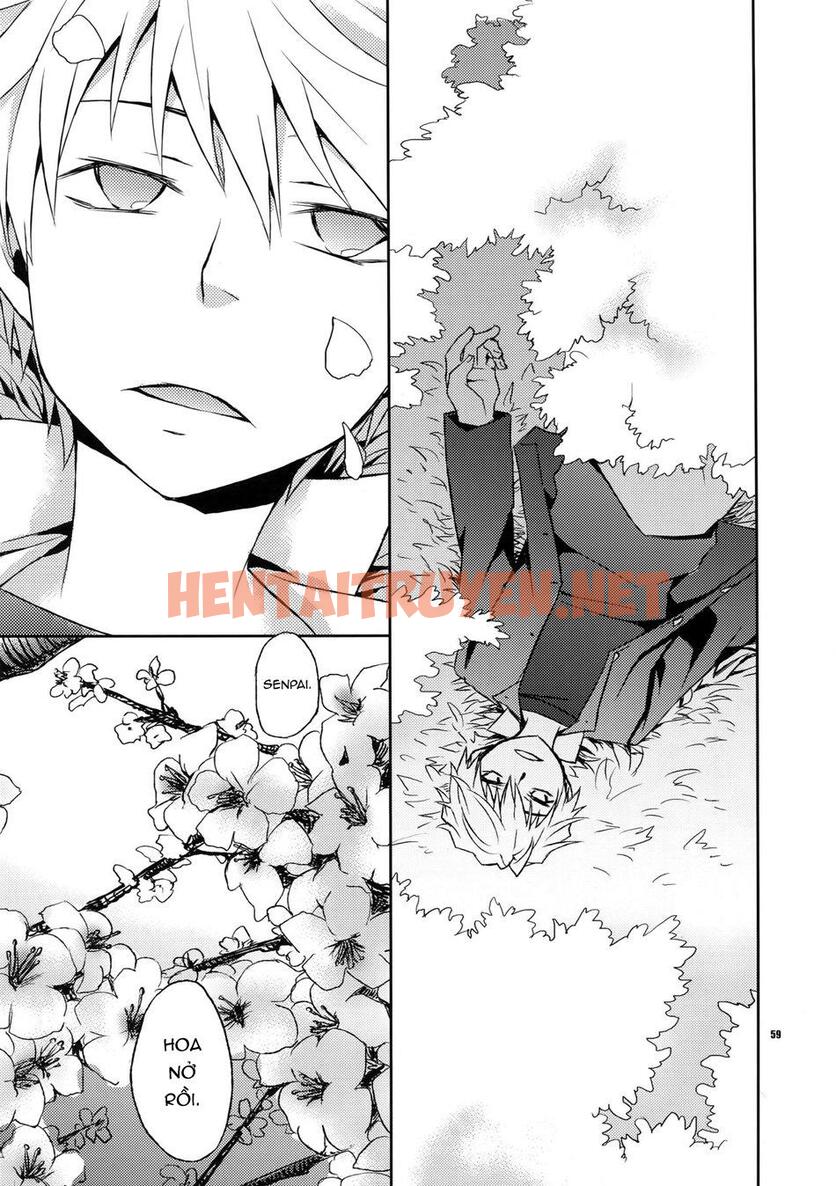 Xem ảnh Tổng Hợp Oneshot - Chap 178 - img_056_1699562138 - HentaiTruyenVN.net