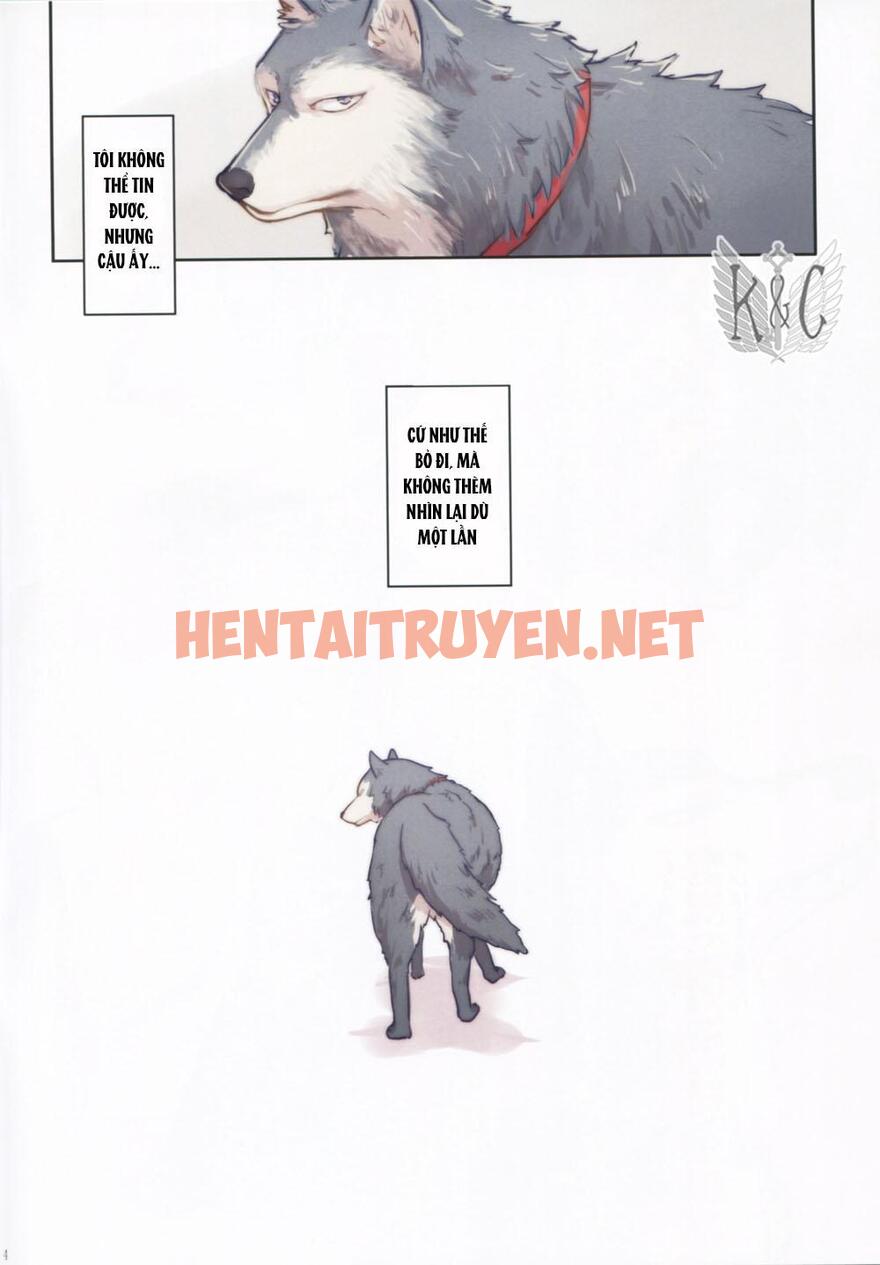 Xem ảnh Tổng Hợp Oneshot - Chap 20 - img_007_1662610648 - HentaiTruyenVN.net