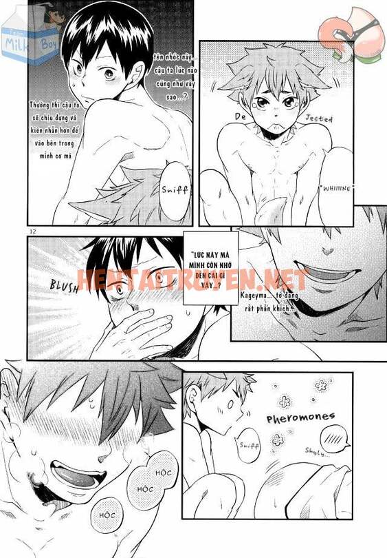 Xem ảnh Tổng Hợp Oneshot - Chap 78 - img_013_1671874852 - HentaiTruyenVN.net