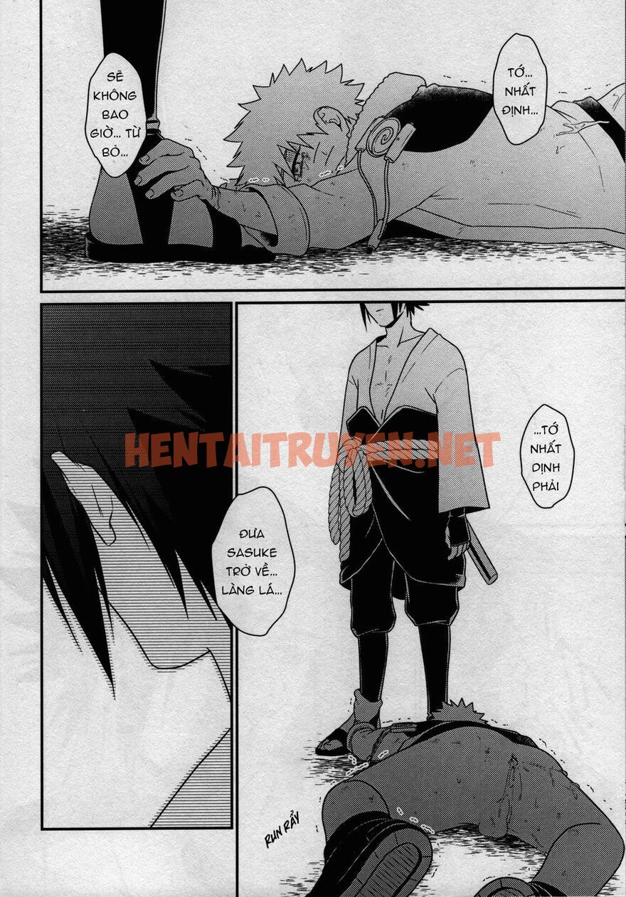 Xem ảnh Tổng Hợp Truyện Oneshot Và Doujinshi Theo Yêu Cầu - Chap 111 - img_027_1672665335 - HentaiTruyenVN.net