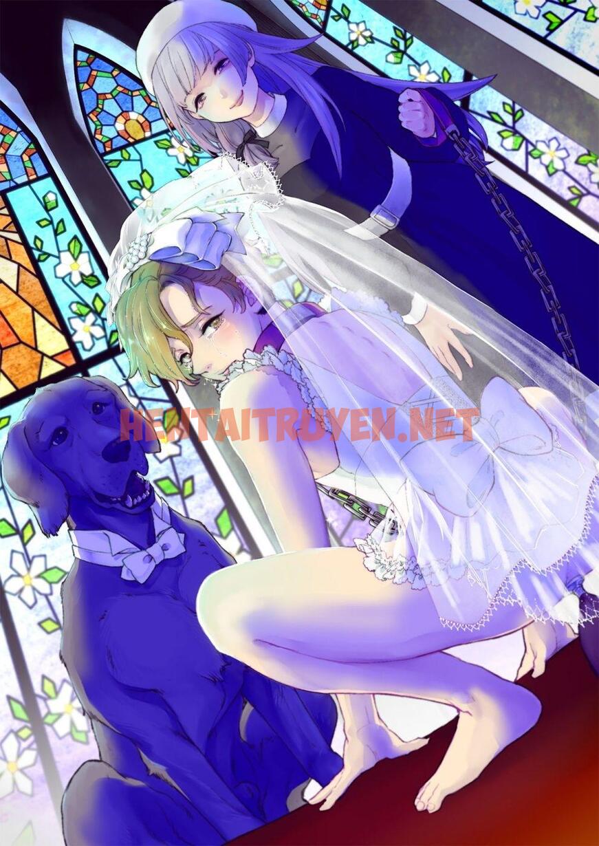 Xem ảnh Tổng Hợp Truyện Oneshot Và Doujinshi Theo Yêu Cầu - Chap 116 - img_030_1673444428 - HentaiTruyenVN.net