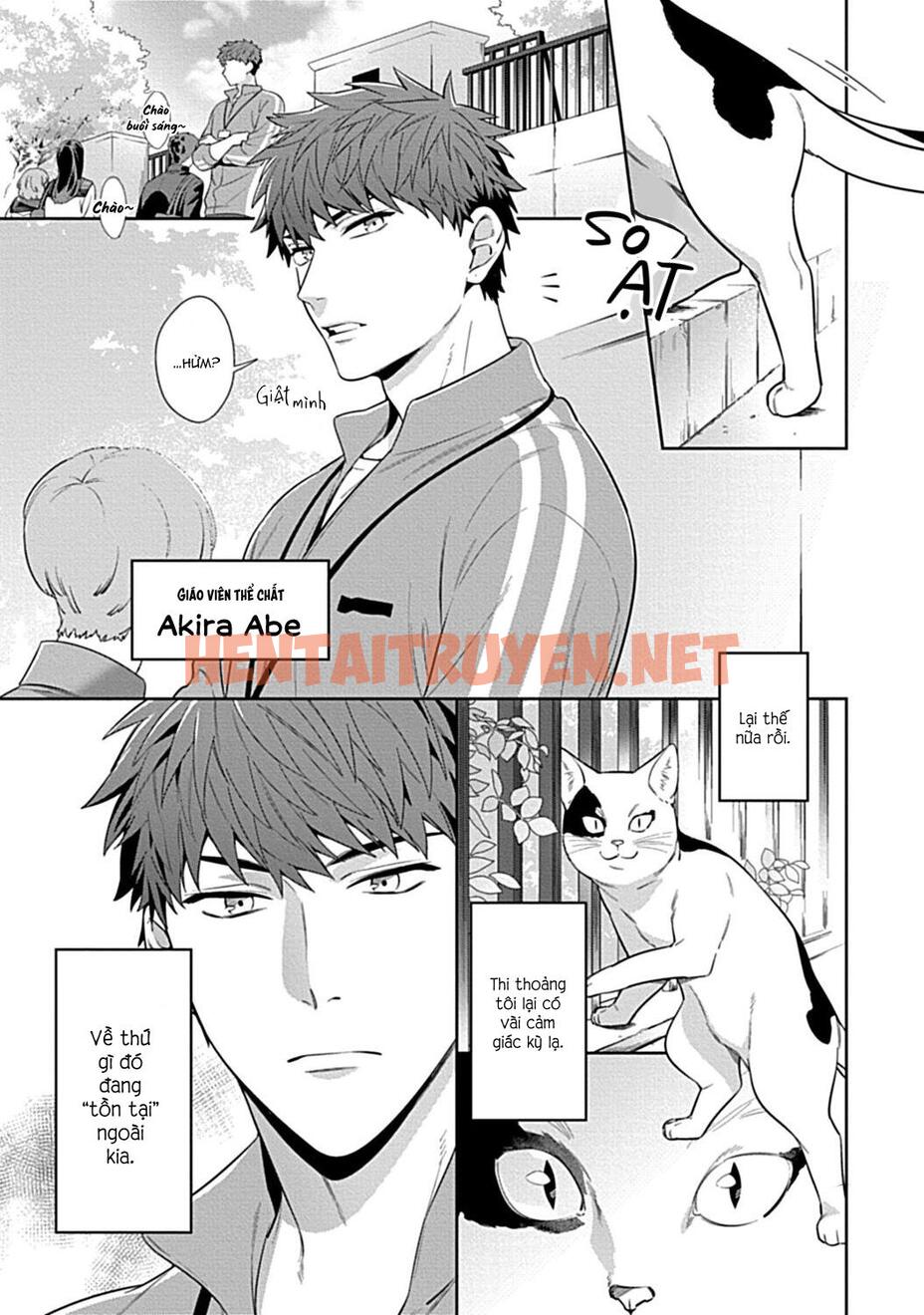 Xem ảnh Tổng Hợp Truyện Oneshot Và Doujinshi Theo Yêu Cầu - Chap 151 - img_004_1687177275 - HentaiTruyenVN.net