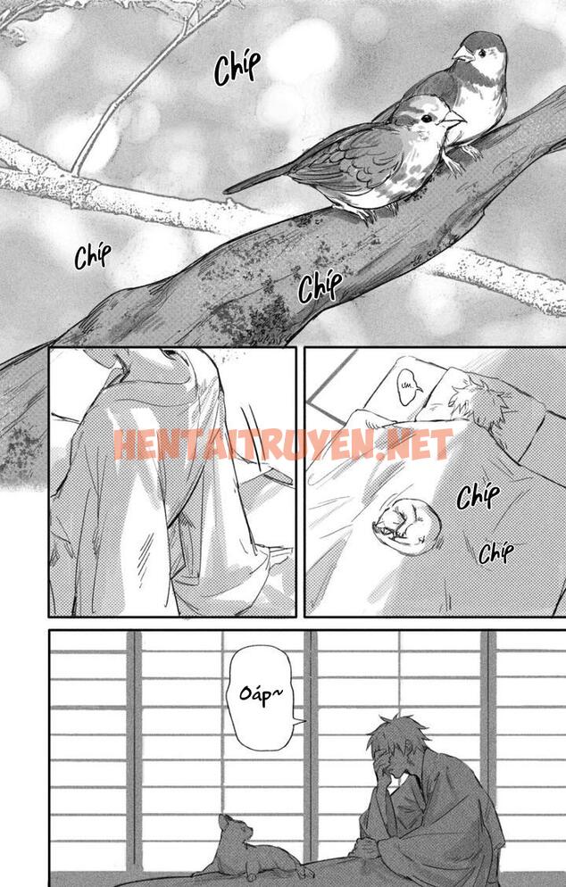 Xem ảnh Tổng Hợp Truyện Oneshot Và Doujinshi Theo Yêu Cầu - Chap 166 - img_031_1696142277 - HentaiTruyen.net