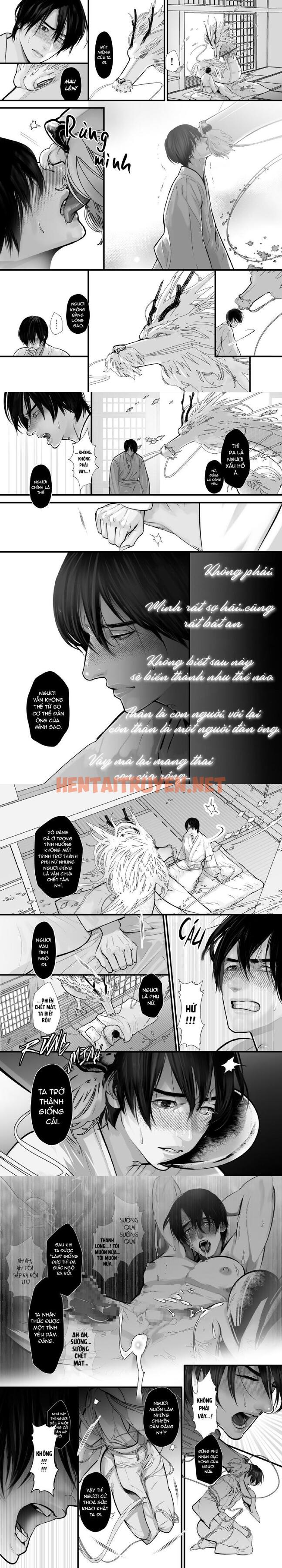 Xem ảnh Tổng Hợp Truyện Oneshot Và Doujinshi Theo Yêu Cầu - Chap 18 - img_004_1658405281 - HentaiTruyen.net