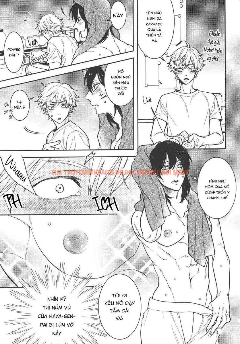 Xem ảnh Tổng Hợp Truyện Oneshot Và Doujinshi Theo Yêu Cầu - Chap 185 - img_006_1712414688 - HentaiTruyen.net