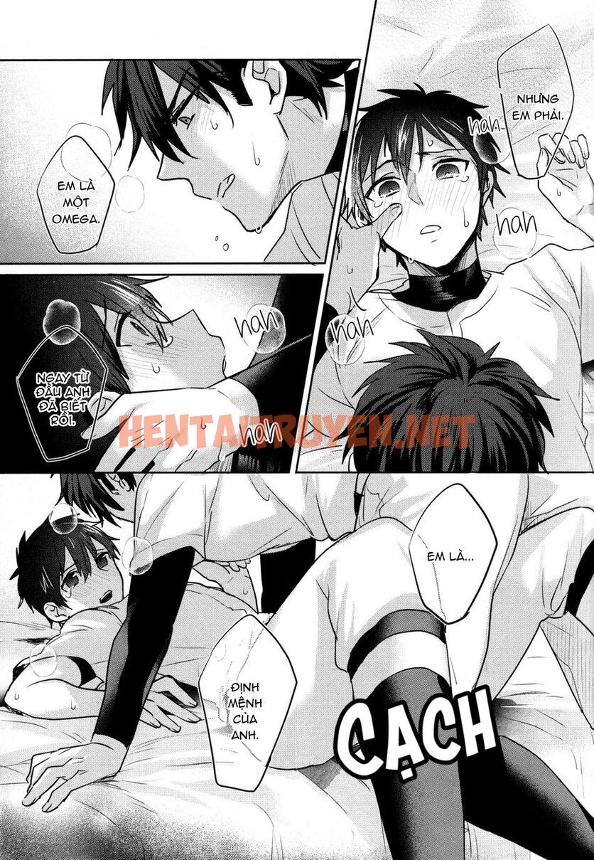 Xem ảnh Tổng Hợp Truyện Oneshot Và Doujinshi Theo Yêu Cầu - Chap 28 - img_026_1658404696 - HentaiTruyenVN.net