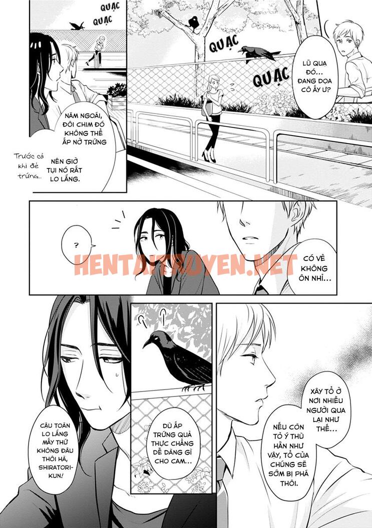 Xem ảnh Tổng Hợp Truyện Oneshot Và Doujinshi Theo Yêu Cầu - Chap 43 - img_011_1658403558 - HentaiTruyen.net