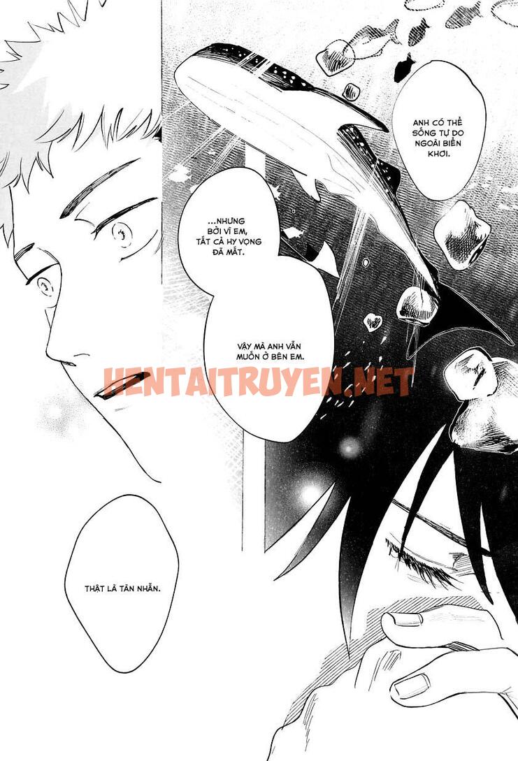 Xem ảnh Tổng Hợp Truyện Oneshot Và Doujinshi Theo Yêu Cầu - Chap 67 - img_050_1672498380 - TruyenVN.APP