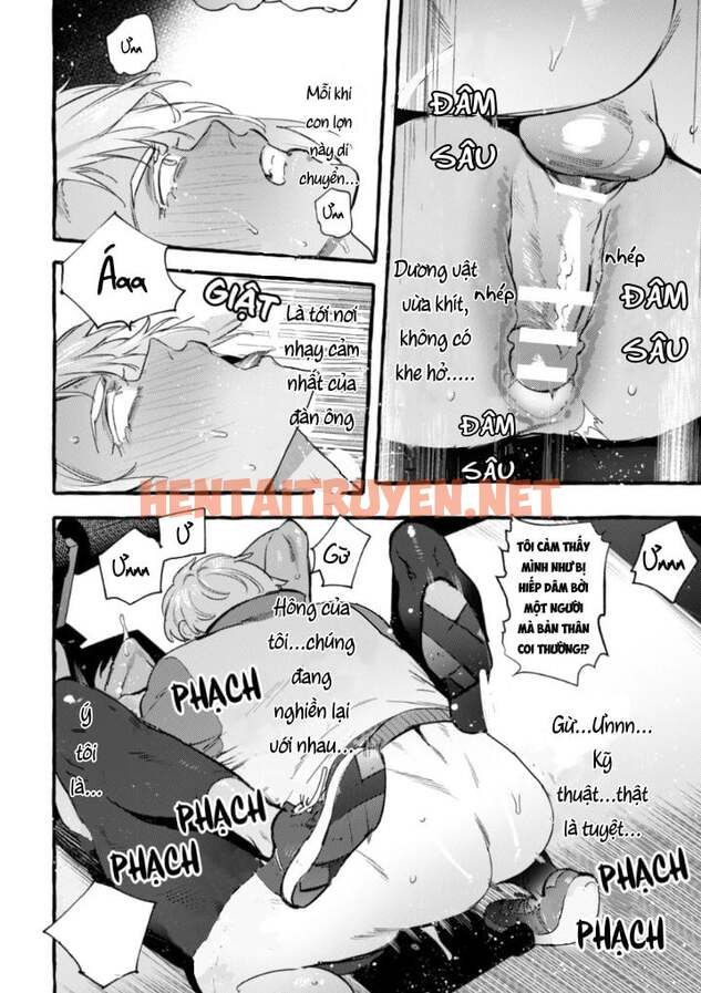 Xem ảnh Tổng Hợp Truyện Oneshot Và Doujinshi Theo Yêu Cầu - Chap 76 - img_021_1672497564 - HentaiTruyenVN.net