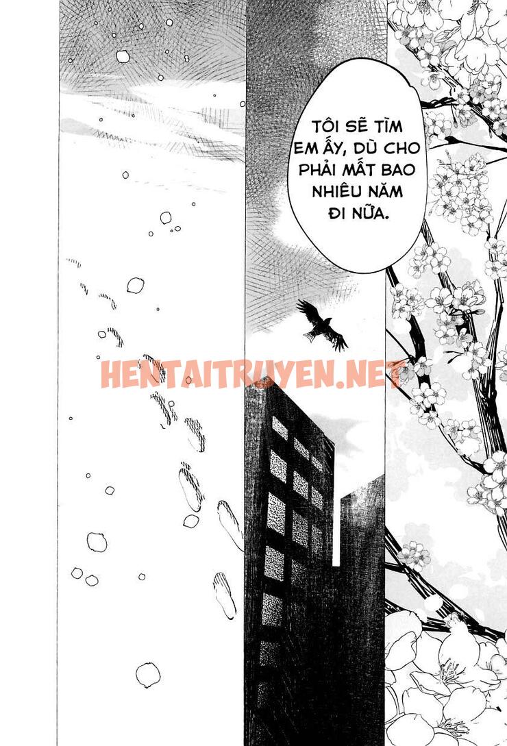 Xem ảnh Tổng Hợp Truyện Oneshot Và Doujinshi Theo Yêu Cầu - Chap 78 - img_048_1672497411 - HentaiTruyen.net