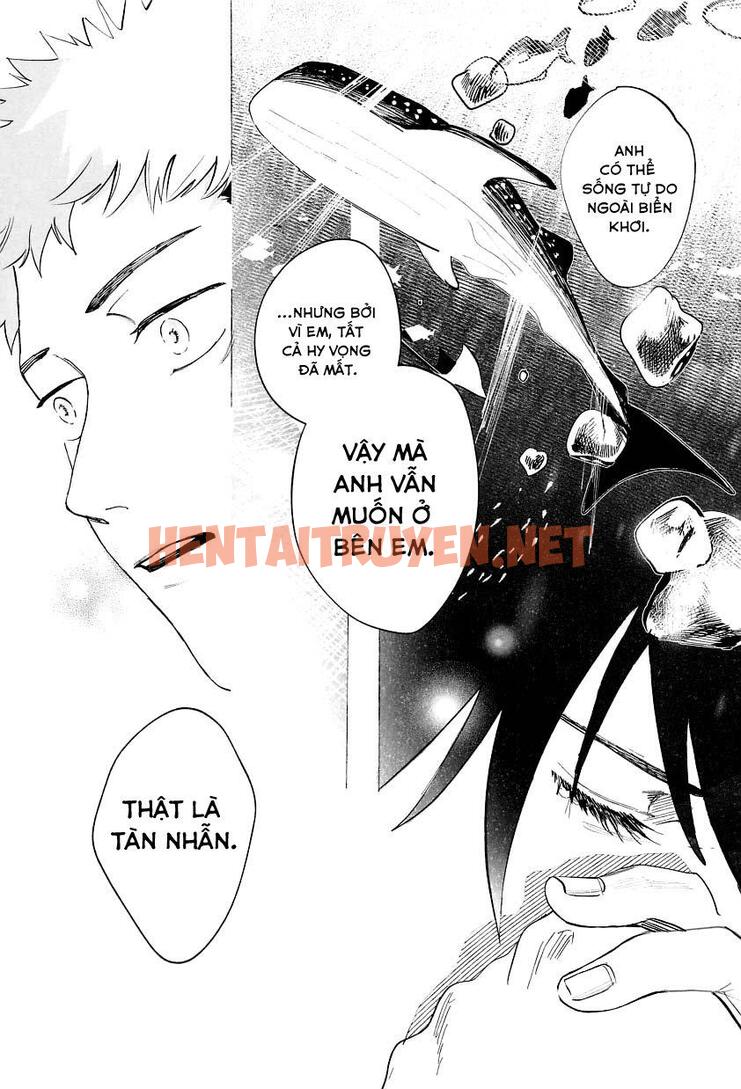 Xem ảnh Tổng Hợp Truyện Oneshot Và Doujinshi Theo Yêu Cầu - Chap 78 - img_050_1672497415 - HentaiTruyenVN.net