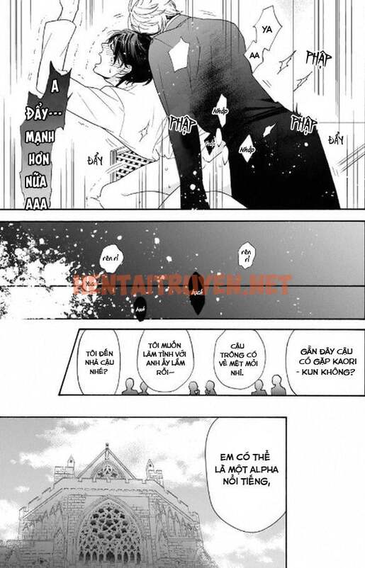 Xem ảnh Tổng Hợp Truyện Oneshot Và Doujinshi Theo Yêu Cầu - Chap 90 - img_017_1672496345 - HentaiTruyenVN.net