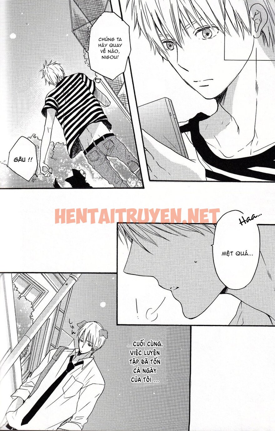 Xem ảnh Tuyển Tập Kuroko No Basket - Chap 2 - img_023_1669601364 - HentaiTruyen.net