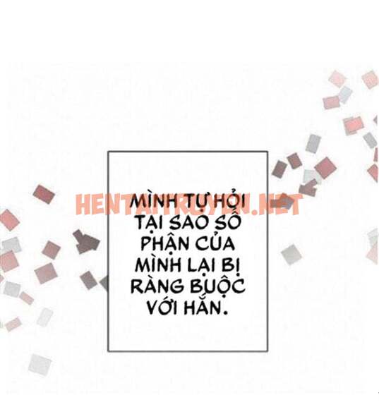 Xem ảnh Vòng Quan Hệ - Chap 1 - img_012_1651743872 - HentaiTruyenVN.net