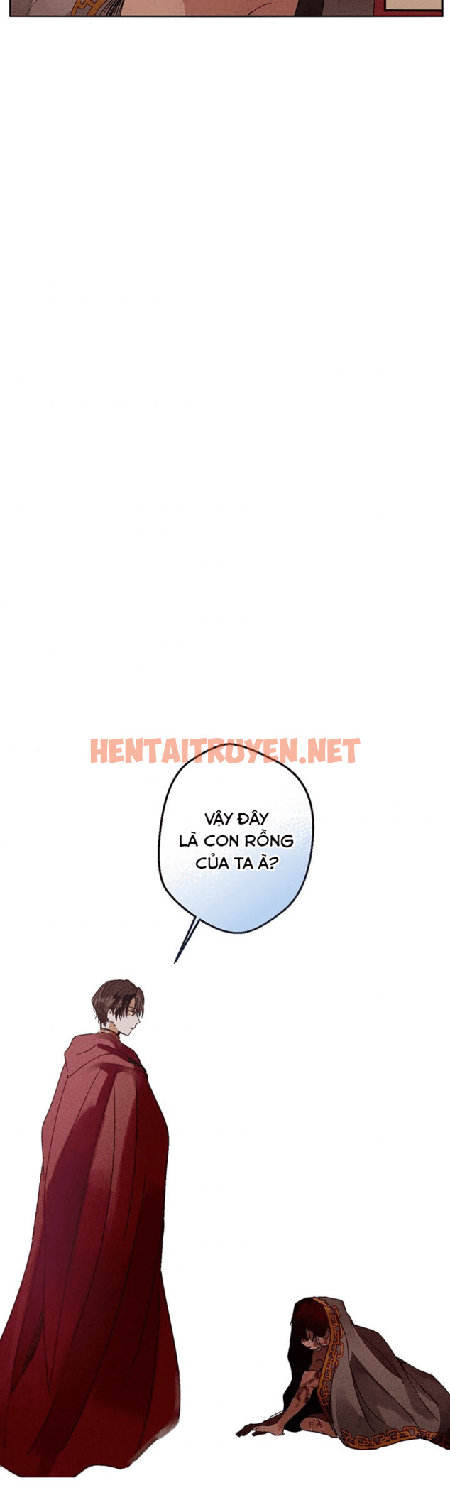 Xem ảnh Vùng Đất Mưa Của Những Con Rồng - Chap 1 - img_024_1650903189 - HentaiTruyen.net