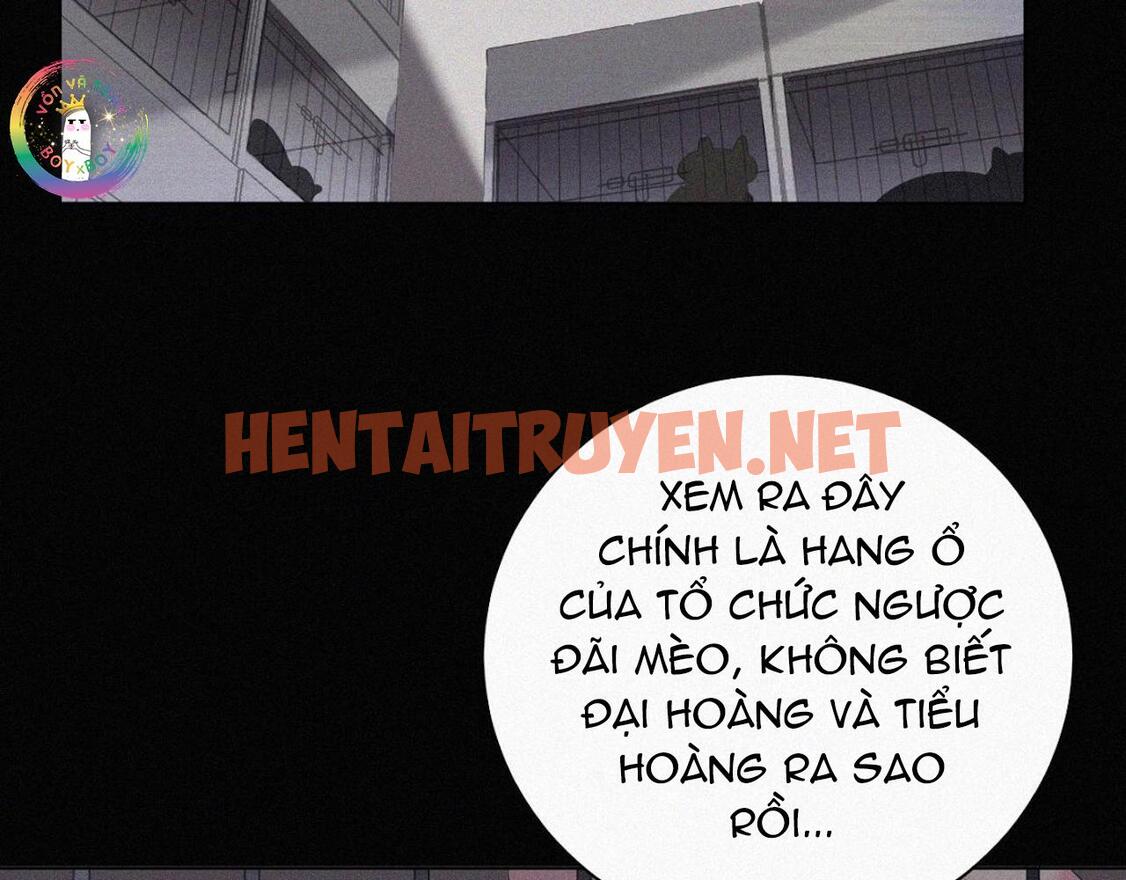 Xem ảnh Xã Hội Mồn Lèo - Chap 36 - img_005_1704476306 - HentaiTruyen.net