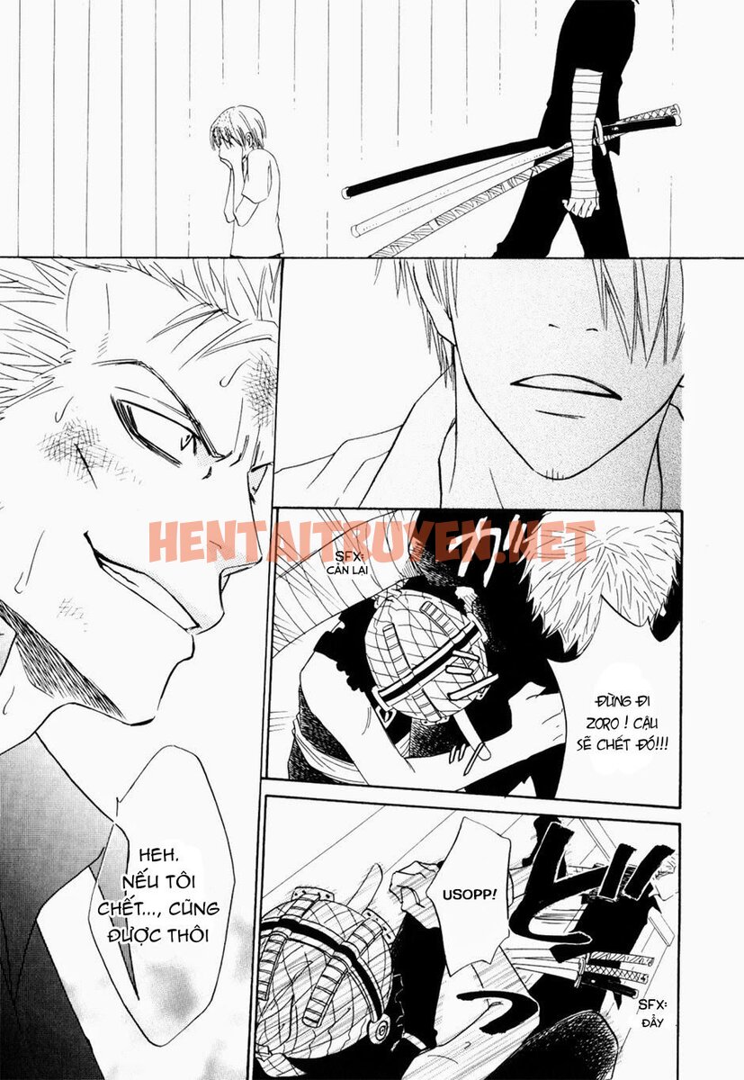 Xem ảnh Zosan Doujinshi - One Piece - Chap 12 - img_042_1694138415 - TruyenVN.APP