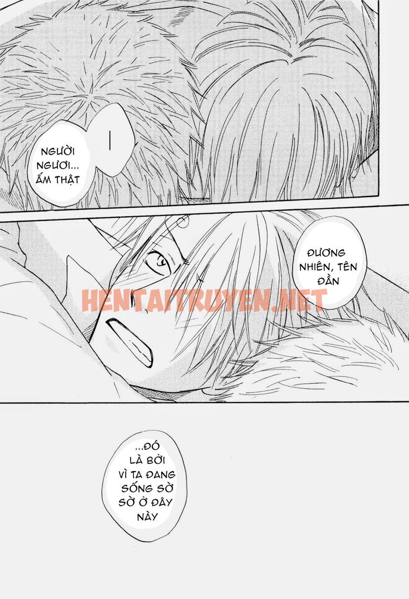 Xem ảnh Zosan Doujinshi - One Piece - Chap 12 - img_065_1694138494 - HentaiTruyenVN.net