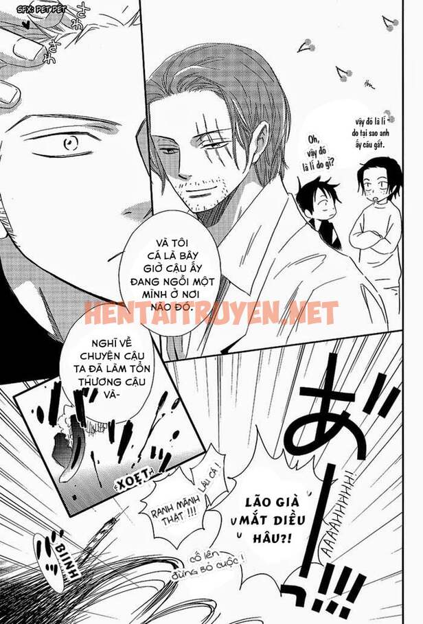 Xem ảnh Zosan Doujinshi - One Piece - Chap 3 - img_020_1694137679 - HentaiTruyen.net