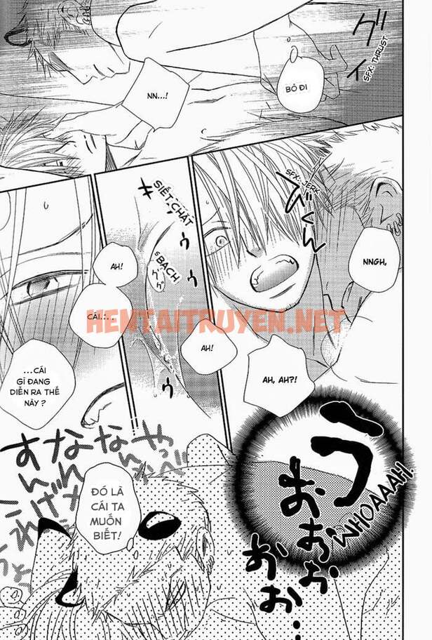 Xem ảnh Zosan Doujinshi - One Piece - Chap 3 - img_028_1694137693 - HentaiTruyen.net