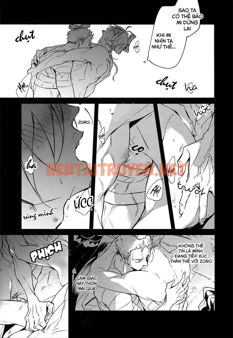 Xem ảnh Zosan Doujinshi - One Piece - Chap 9 - img_007_1694138022 - TruyenVN.APP